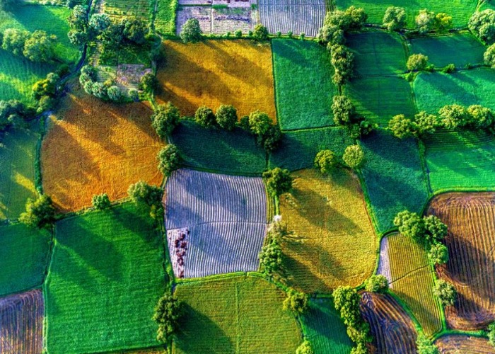 See the beauty of Earth like you've never seen it before