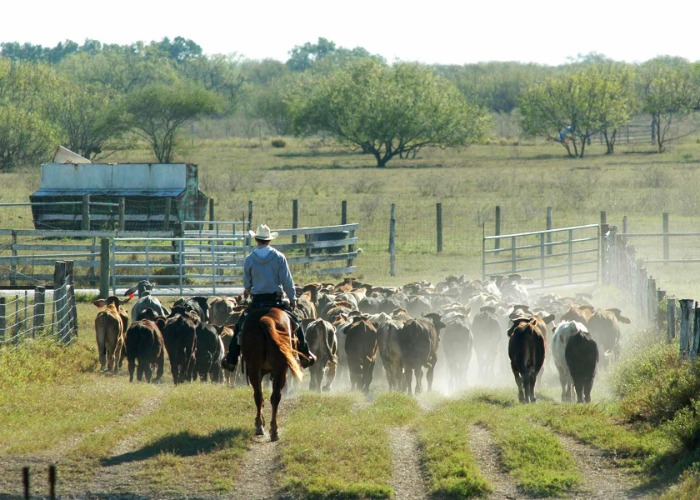 6 historic ranches that prove the Wild West is alive and kicking