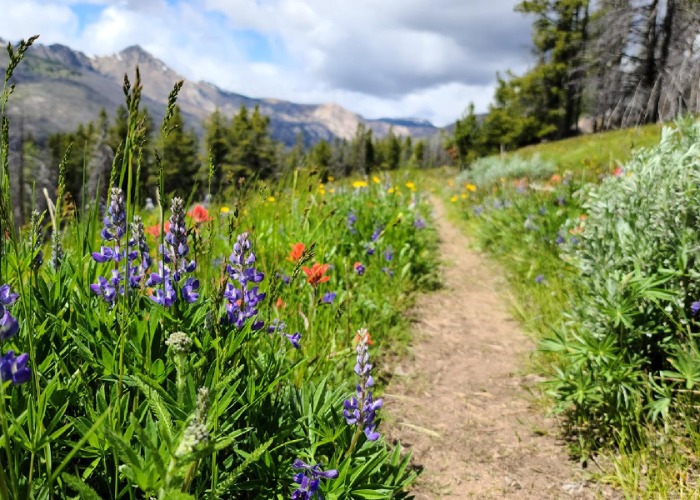 America's 11 national trails offering unforgettable views, epic hikes