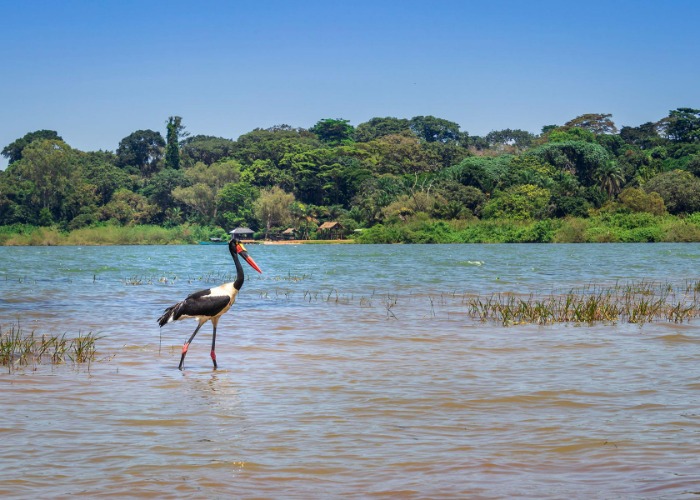 The world's largest lakes that are bigger than countries