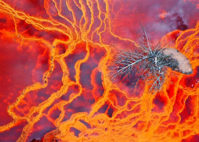 We've Picked The Best Images From The Nature Photographer Of The Year Awards