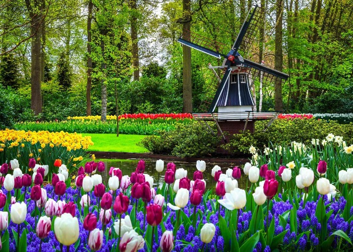 The world's most beautiful gardens 