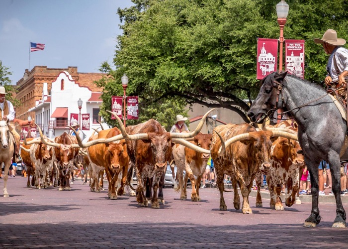 Terrific Texas: 42 things you must do in the Lone Star State ...