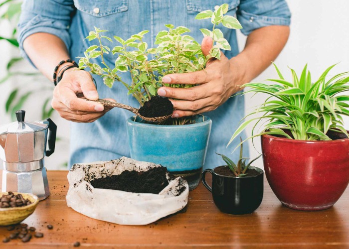 19 clever ways coffee grounds can be reused