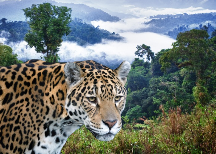 Beautiful places around the world that very few people have seen