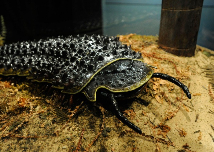 28 extraordinary animals that once lived in the UK
