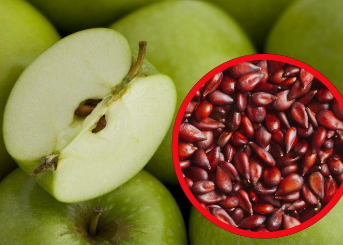 The most dangerous foods from everyday staples to exotic dishes