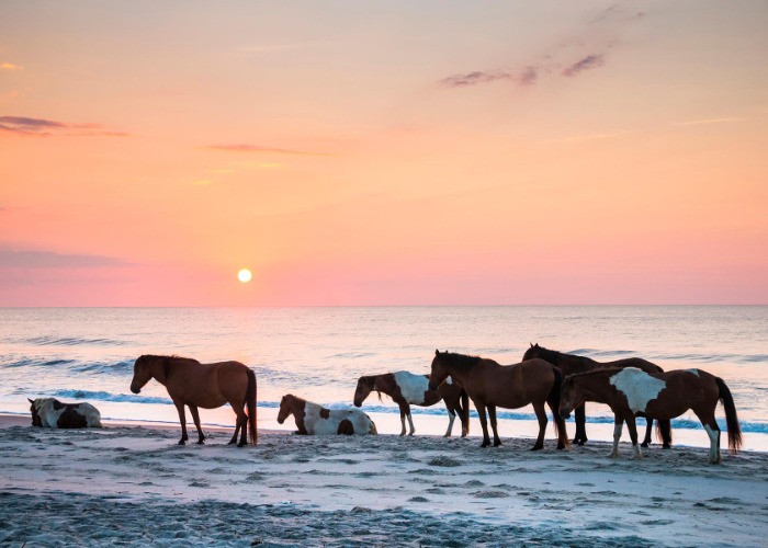 The finest national parks, monuments in every US state