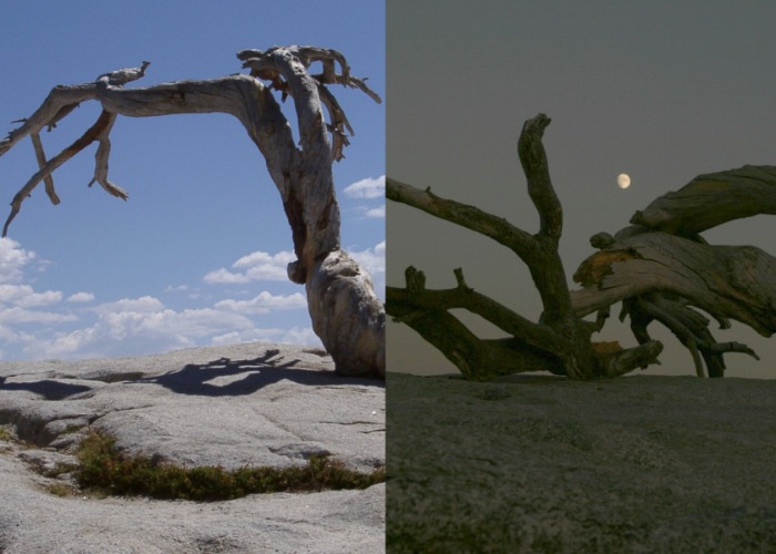 Beloved American tourist attractions lost forever