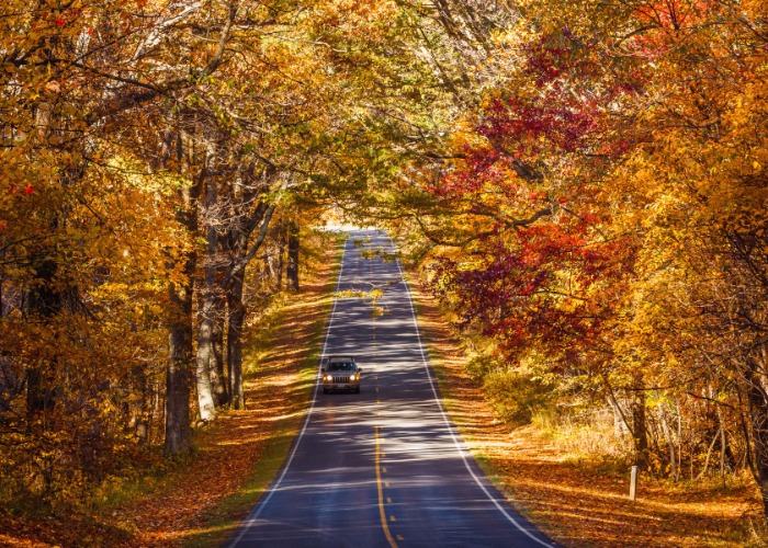 The US's most peaceful places to see fall colors