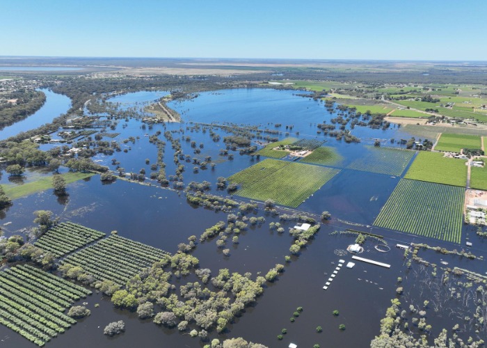These Shocking Images Of Australia Zoom In On The Climate Crisis