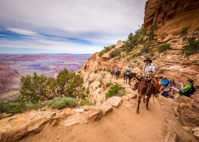 41 quintessential American experiences
