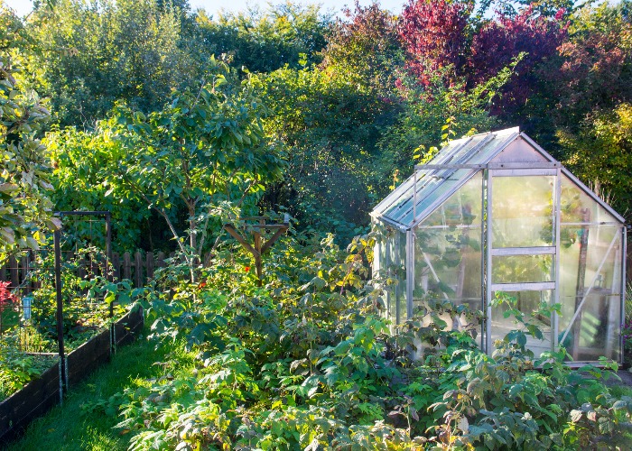 How To Prepare Your Garden For Winter