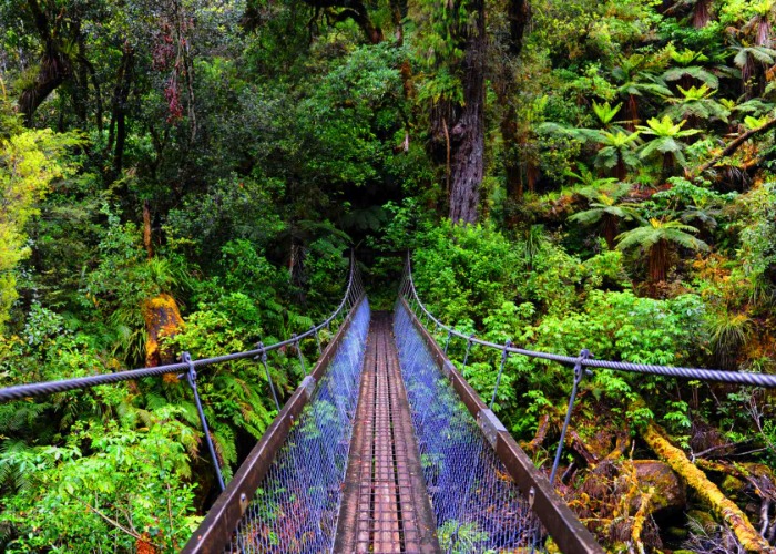 30 magical facts you might know about New Zealand 