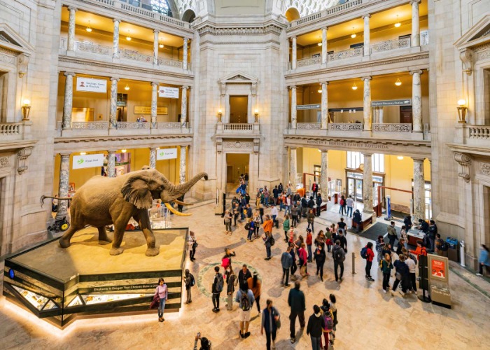 Fascinating facts you never knew about the Smithsonian