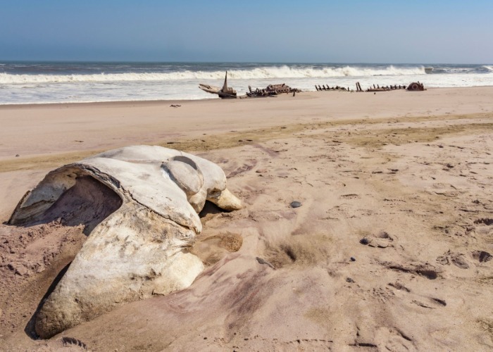 Revealed: the world's most dangerous beaches