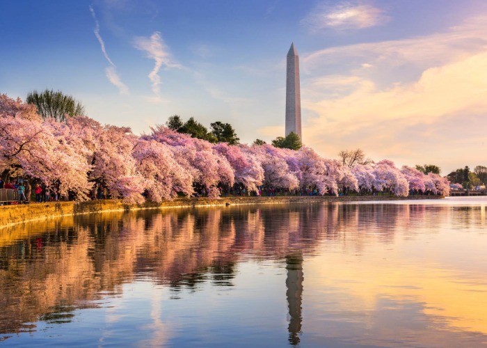 Discover Washington DC's Incredible History