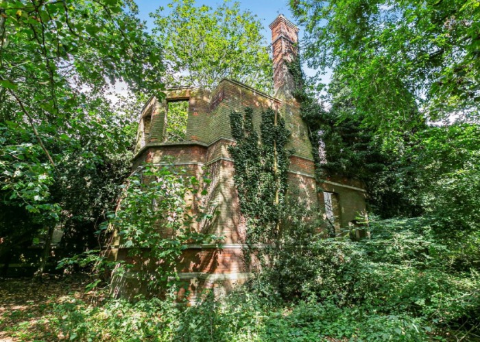 A mansion for £100k? Abandoned Edwardian estate heads to auction