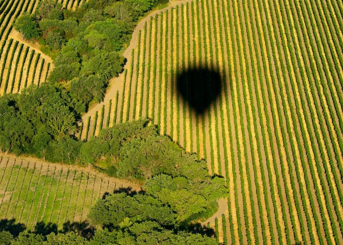 The US From Above: The Best New Drone Shots Show Fresh Perspectives