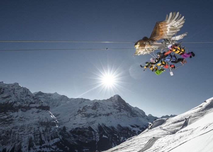 Awesome Ziplines For An Adrenalin Fueled Summer