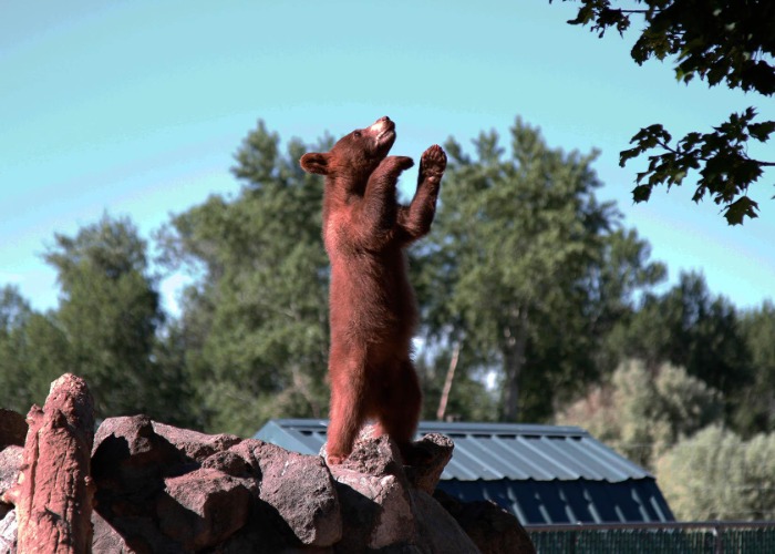 The most overrated, underrated attractions in every US state
