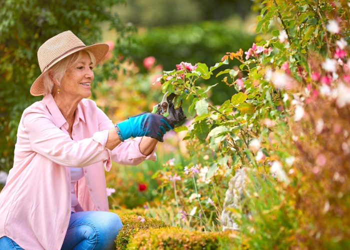 Grandma s Gardening Tips That Never Fail Lovemoney grandma-s-gardening-tips-that-never-fail-lovemoney
