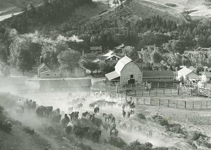 What daily life in the Wild West was really like in historic photos