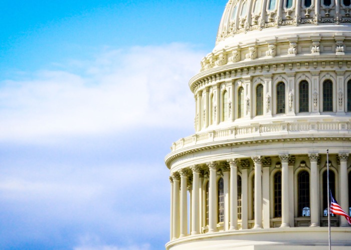 How to spend a week in the heart of American democracy 