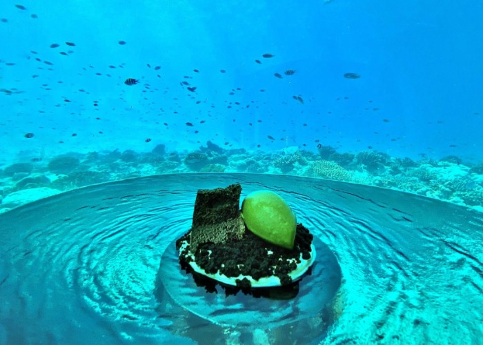 Try dinner with a view at the world's most stunning underwater restaurants