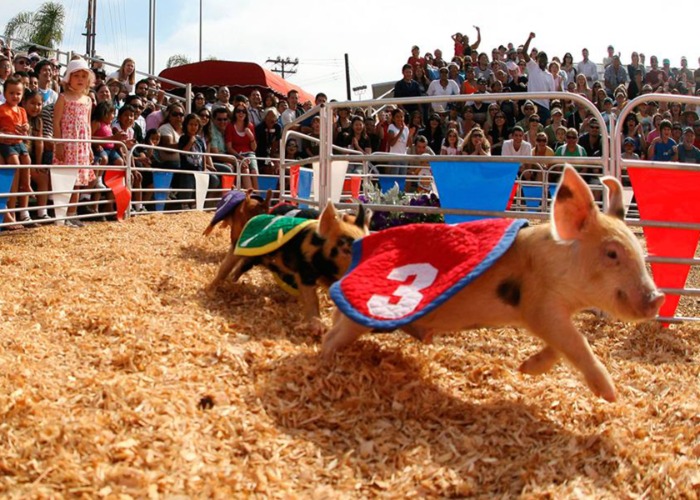 The absolute best state fair in every US state