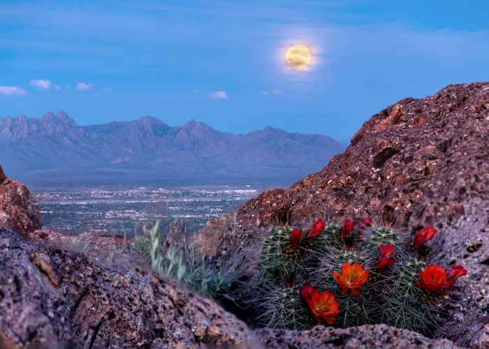 The best places to retire in the USA for tourists and locals alike