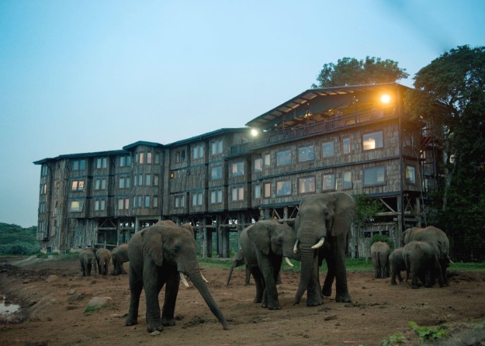 The world's beautiful hotels where wildlife is all around