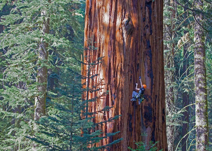 26 Things You Didn't Know You Could Do In America's National Parks