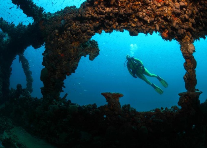 The world's most incredible shipwrecks in fascinating images