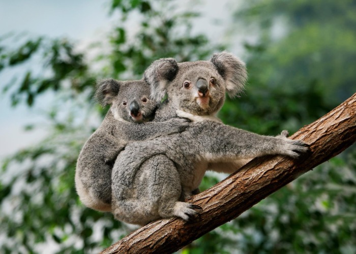 Revealed: Australia's best attractions, state by state