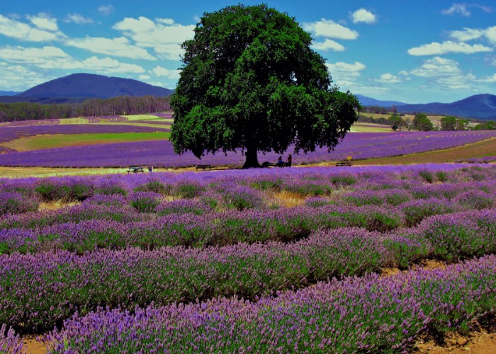 You won't believe these 27 unusual sights are actually in Australia