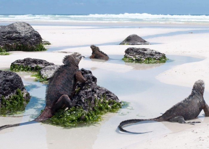 Hidden Galápagos: 27 secrets of the world's most magical islands 