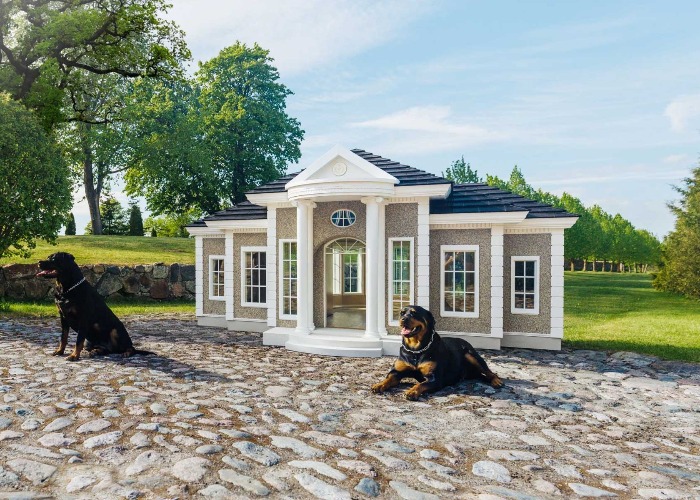 https://loveincorporated.blob.core.windows.net/contentimages/main/b63fd52f-ea15-4b9d-892e-666c360230c6-luxury-dog-houses-and-accessories.jpg