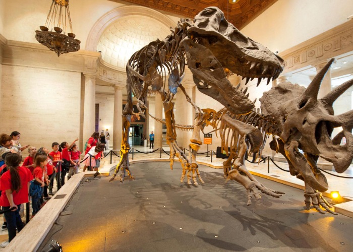 30 Incredible Sleepover Attractions In America, Beyond