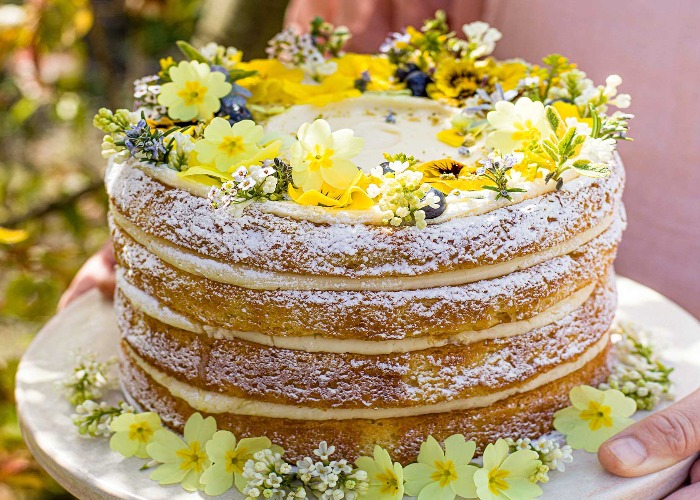 Primrose and lemon cake recipe