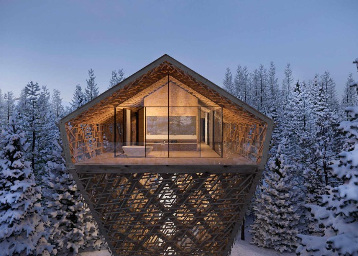 Step inside 8 of the world's most luxurious treetop homes