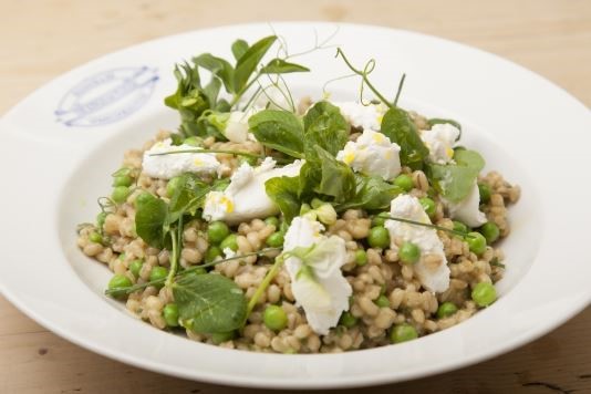 Organic barley, pea and mint salad with goat's cheese recipe