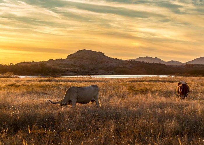 Where To See The Most Wonderful Wilderness In Your State And Beyond