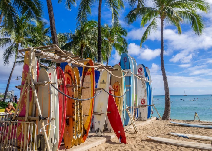 Ranked: the best bucket list experiences in the US 