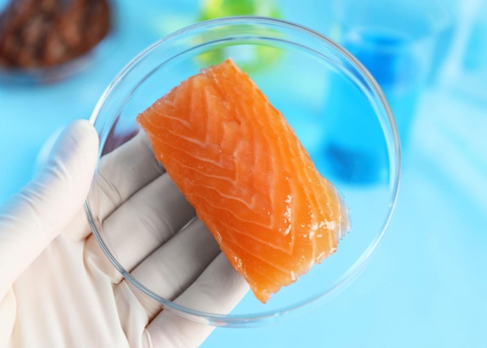 20 surprising things that can now be grown in a lab