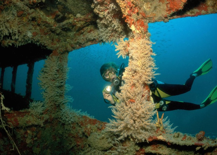 Amazing underwater attractions only found in America