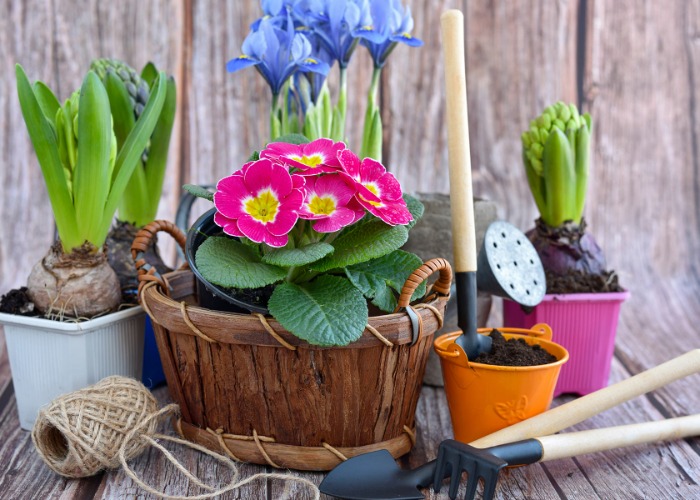 15 ways to spruce up your garden for spring