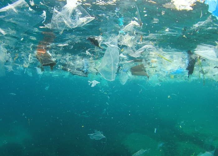 Opinion: we need more reusable plastic schemes