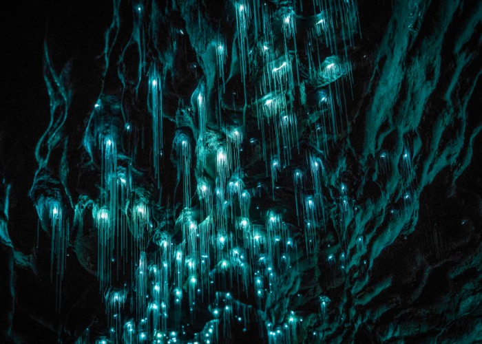Incredible real-life locations that glow in the dark