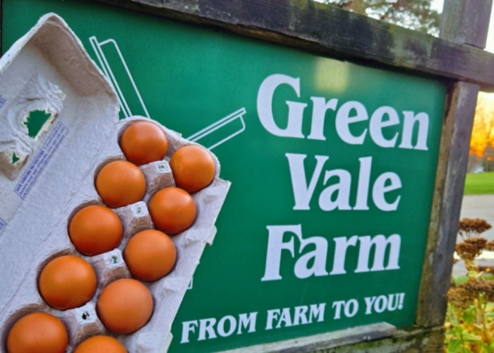 The very best farm shop in every US state, ranked